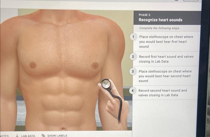 Phase 2 Recognize Heart Sounds Complete The Following Steps 1 2 Record First Heart Sound And Valves Closing In Lab Dat 1