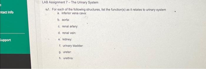 61 For Each Of The Following Structures List The Function S As It Relates To Urinary System A Inferior Vena Cava B 1