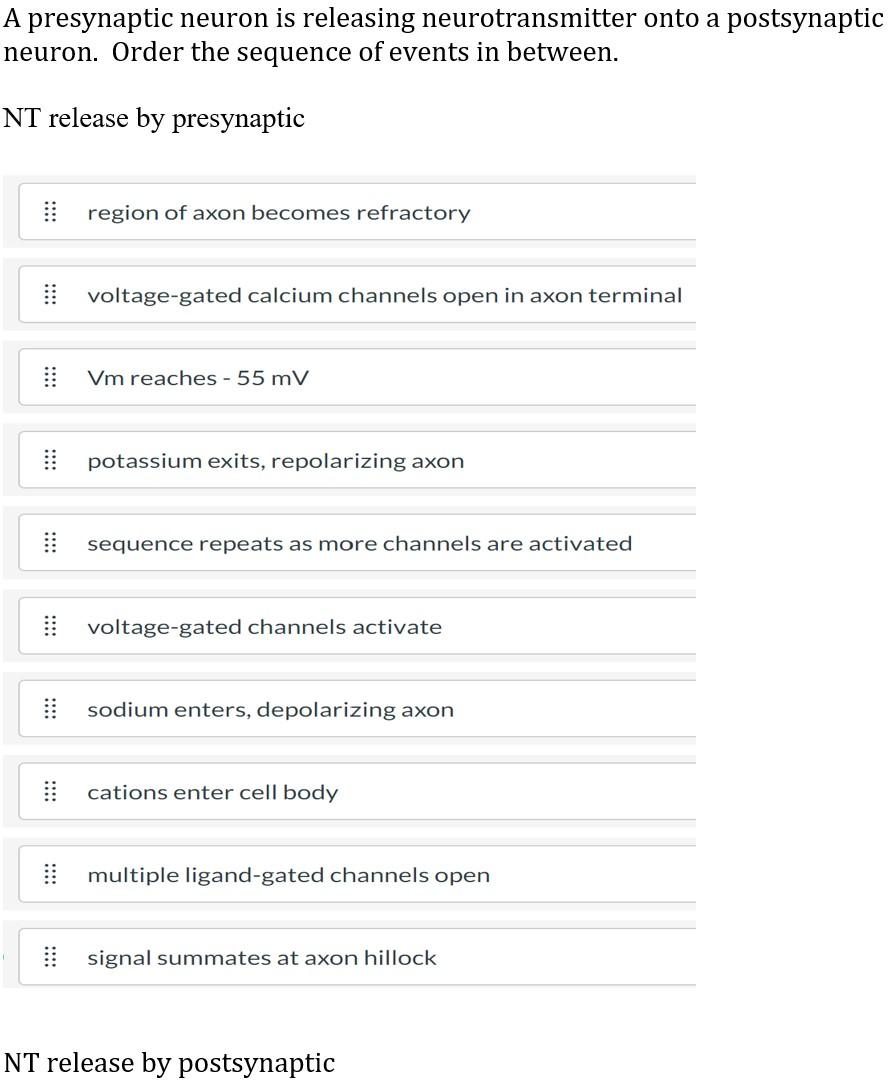 A Presynaptic Neuron Is Releasing Neurotransmitter Onto A Postsynaptic Neuron Order The Sequence Of Events In Between 1