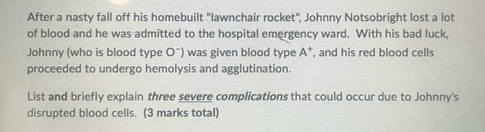 After A Nasty Fall Off His Homebuilt Lawnchair Rocket Johnny Notsobright Lost A Lot Of Blood And He Was Admitted To T 1