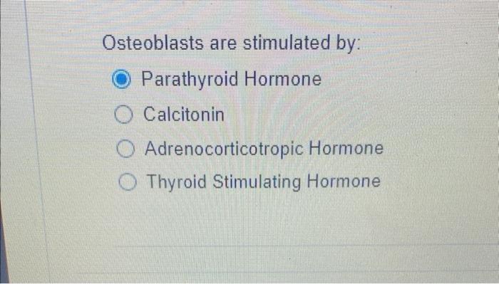 Osteoblasts Are Stimulated By Parathyroid Hormone Calcitonin Adrenocorticotropic Hormone Thyroid Stimulating Hormone O 1
