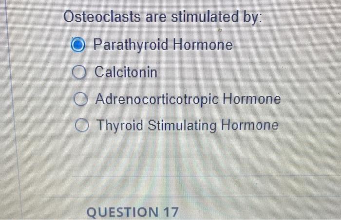 Osteoblasts Are Stimulated By Parathyroid Hormone Calcitonin Adrenocorticotropic Hormone Thyroid Stimulating Hormone O 2