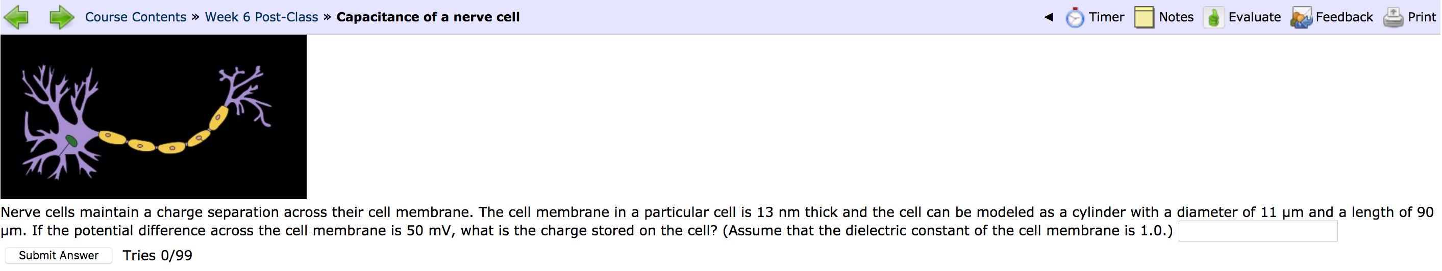 Course Contents Week 6 Post Class Capacitance Of A Nerve Cell Timer Notes Evaluate Feedback 9 Print Do Nerve Cells 1