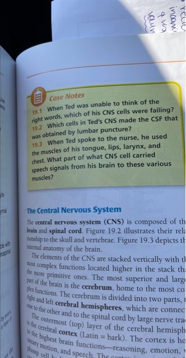 Volun Konto Inioni Reau Case Notes 19 1 When Ted Was Unable To Think Of The Right Words Which Of His Cns Cells Were Fai 1