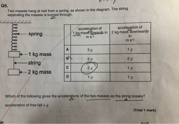 Q5 Two Masses Hang At Rest From A Spring As Shown In The Diagram The String Separating The Masses Is Burned Through 1