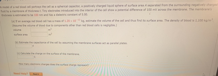 A Model Of A Red Blood Cell Portrays The Cell As A Spherical Capacitor A Positively Charged Liquid Sphere Of Surface Ar 1