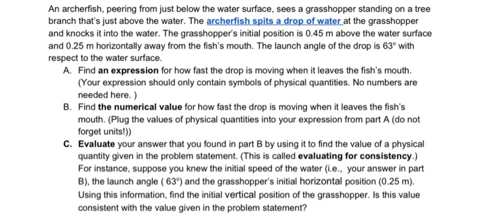 An Archerfish Peering From Just Below The Water Surface Sees A Grasshopper Standing On A Tree Branch That S Just Above 1