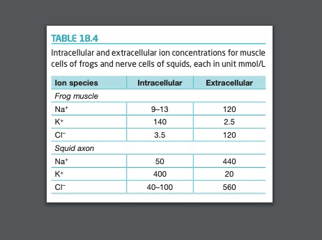 This Table Below Provides Approximate Values For The Intracellular And Extracellular Concentrations In Unit Mmol L For S 2