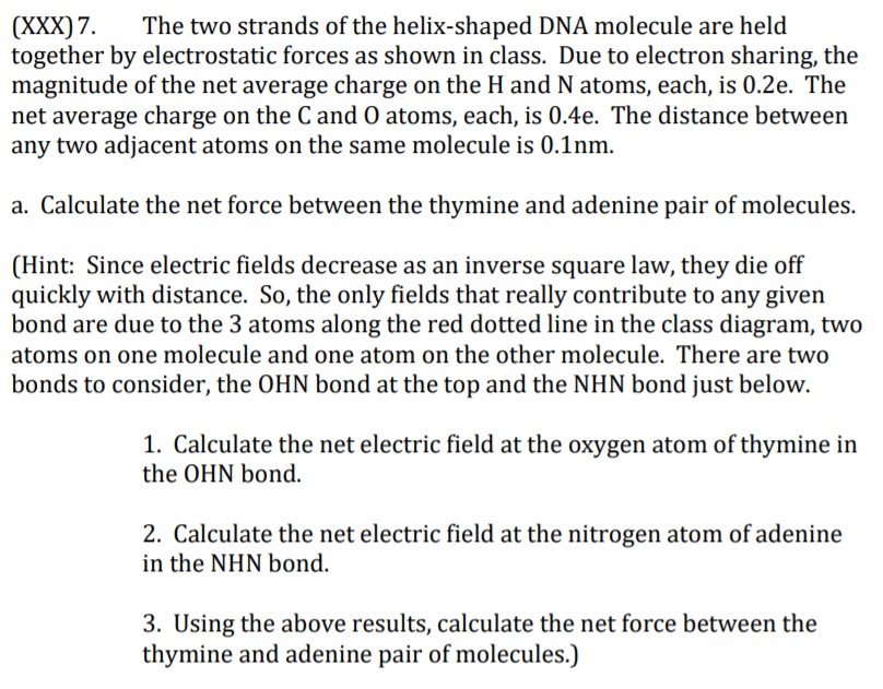 Xxx 7 The Two Strands Of The Helix Shaped Dna Molecule Are Held Together By Electrostatic Forces As Shown In Class D 1
