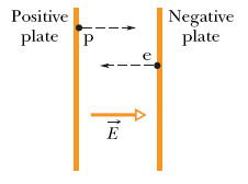 Positive Plate Negative Plate 1