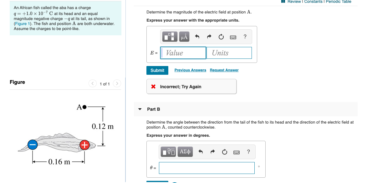 Ii Review I Constants 1 Periodic Table An African Fish Called The Aba Has A Charge Q 1 0 X 10 C At Its Head And An Eq 1