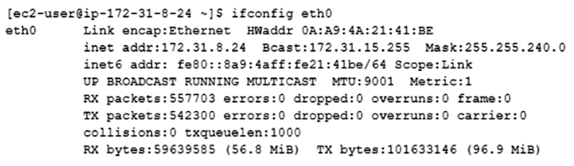 A Network Engin 1