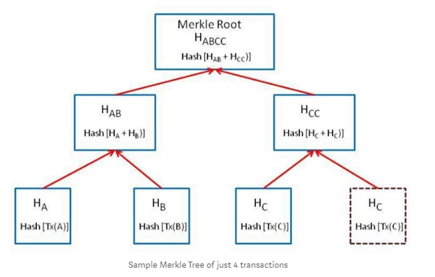 The Of The Tree 1