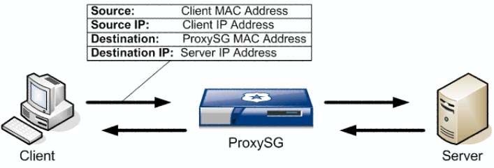 The Http Reques 1