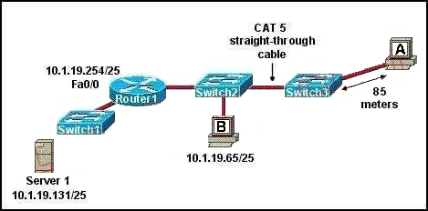 The Internetwor 1