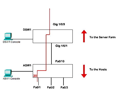 Simulation Swit 1