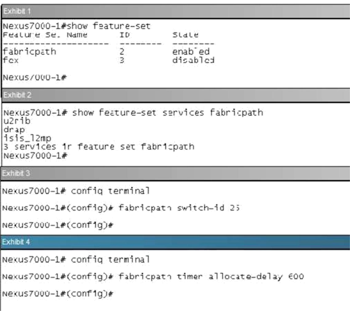 Fabricpath Swit 3