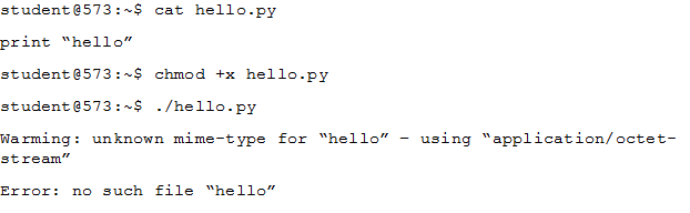A Programmer At 1