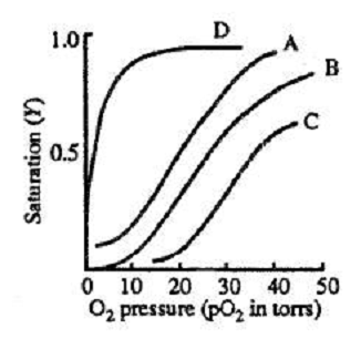 Hemoglobin Hb A 1