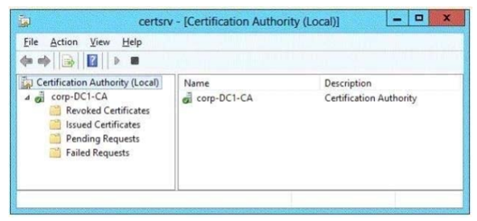 Your Network Co 1
