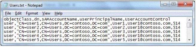 Your Network Co 1