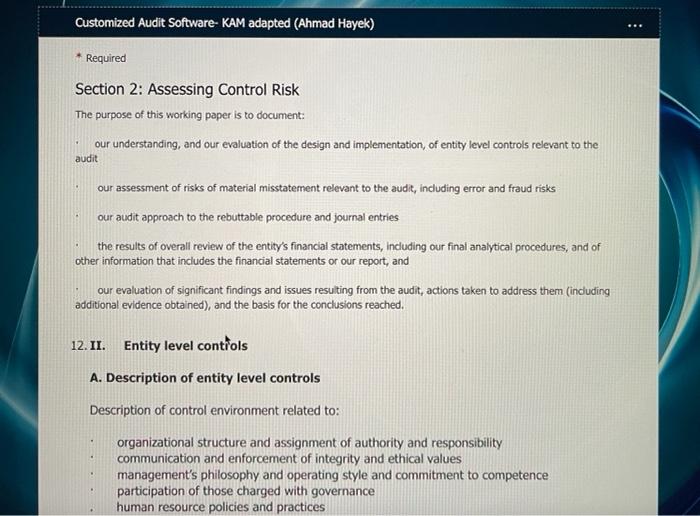 Customized Audit Software Kam Adapted Ahmad Hayek Required Section 2 Assessing Control Risk The Purpose Of This Wo 2