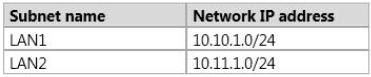 Your Network Co 1