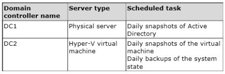 Your Network Co 1
