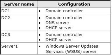 Your Network Co 1