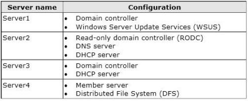 Your Network Co 1