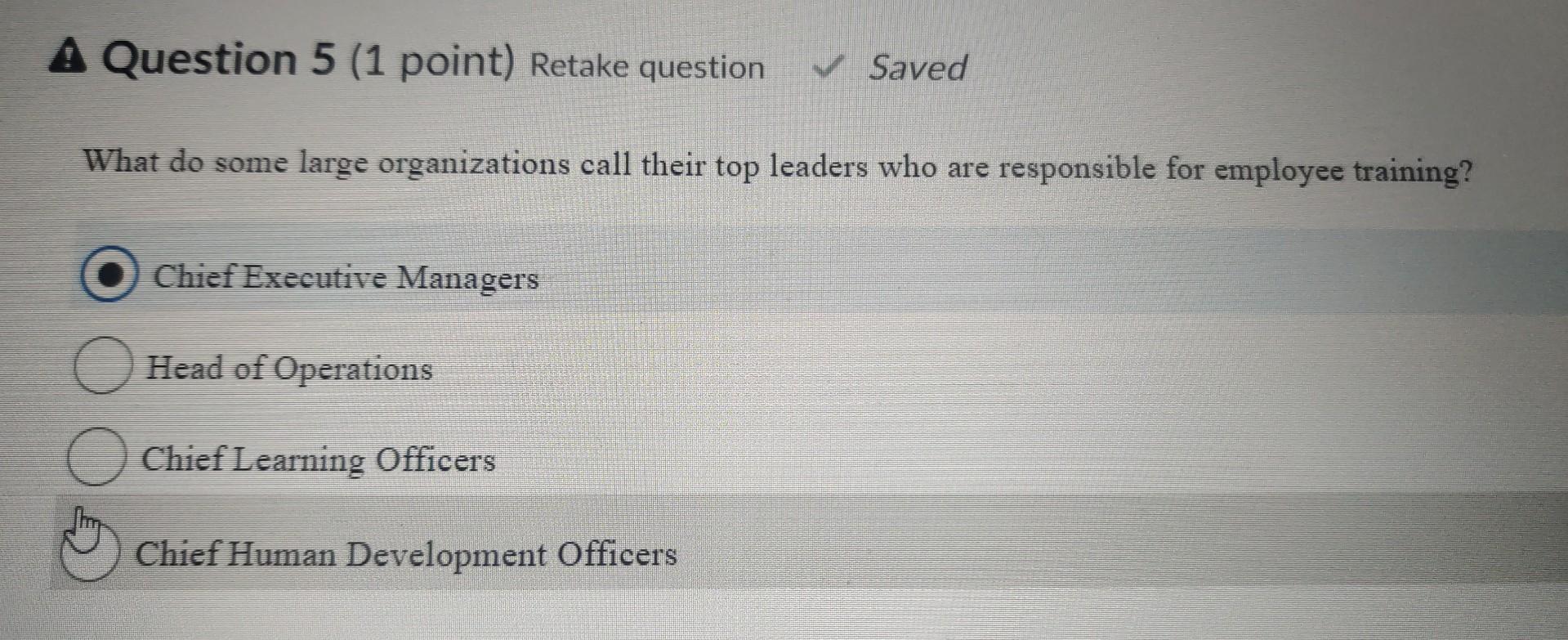 What Do Some Large Organizations Call Their Top Leaders Who Are Responsible For Employee Training Chief Executive Manag 1