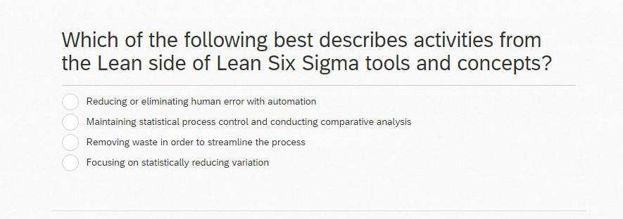 Which Of The Following Best Describes Activities From The Lean Side