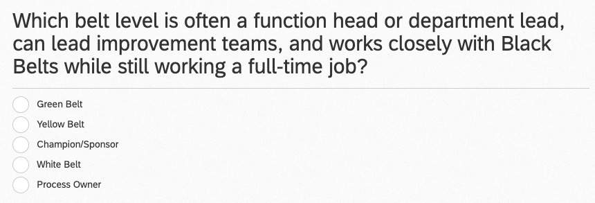 Which Belt Level Is Often A Function Head Or Department