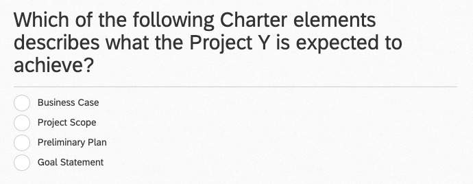 Following Charter Elements Describes