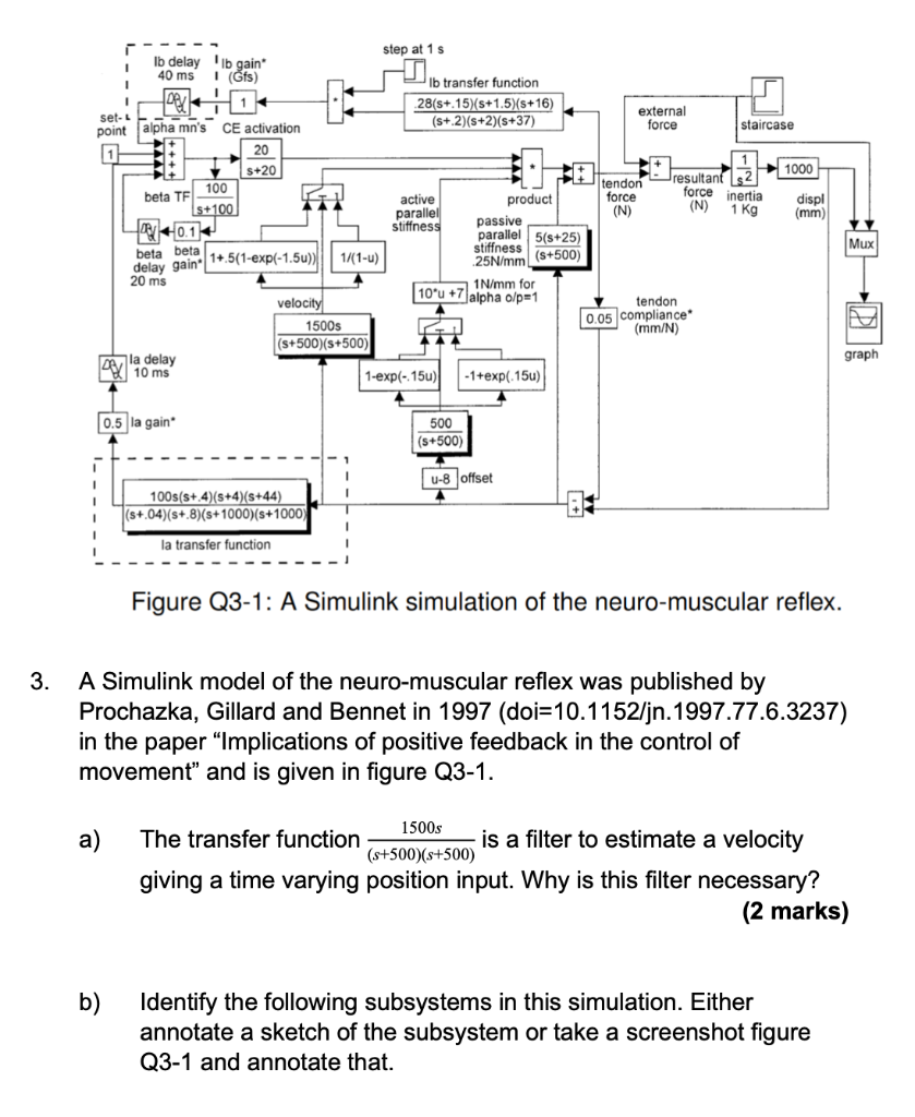 I The Pathway That Feeds The Forces Detected By The Golgi Tendon Organ Into The Spinal Circuit 3 Marks Ii The Pat 1