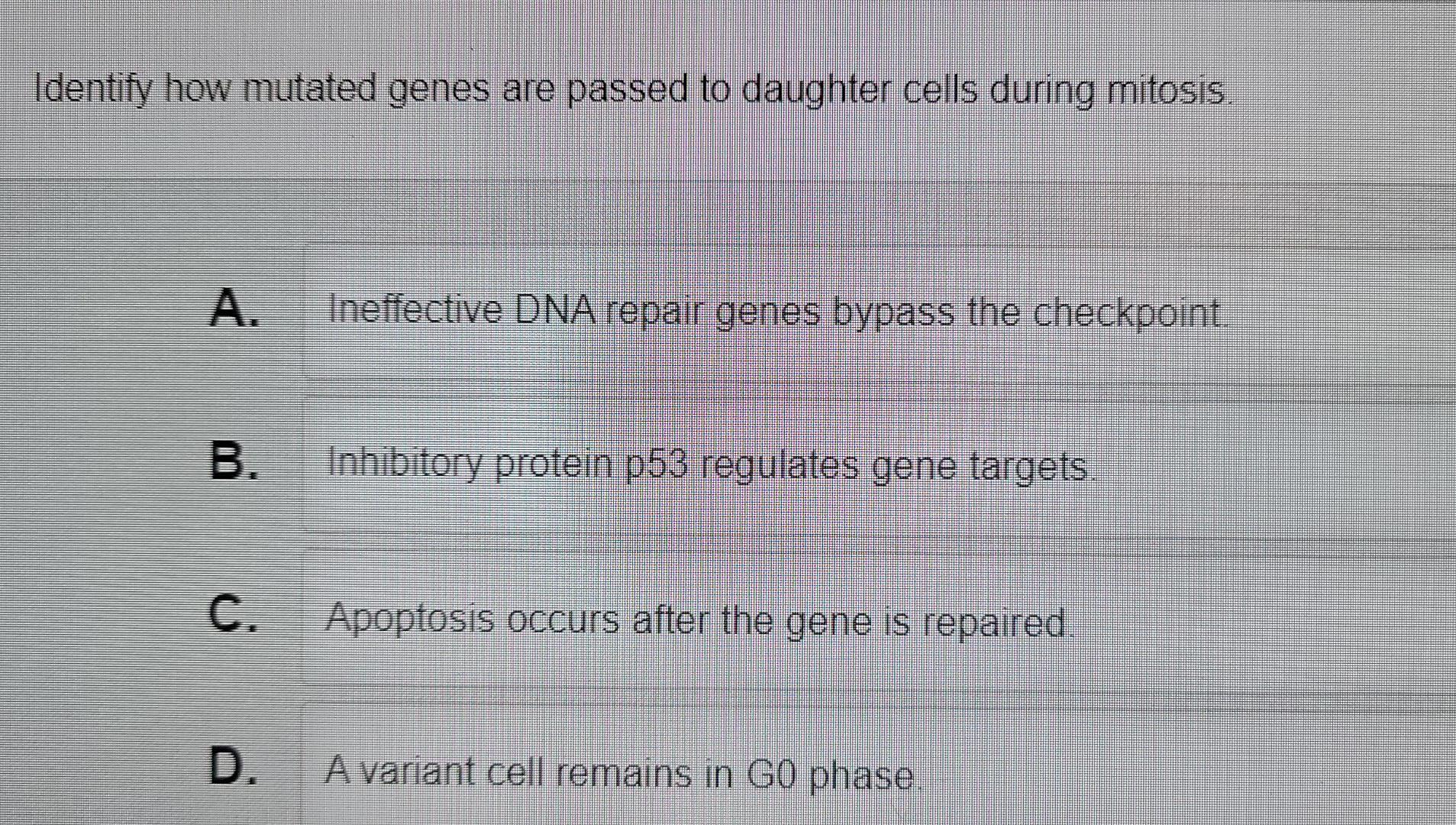 Identify How Mutated Genes Are Passed To Daughter Cells During Mitosis A Ineffective Dna Repair Genes Bypass The Checkp 1