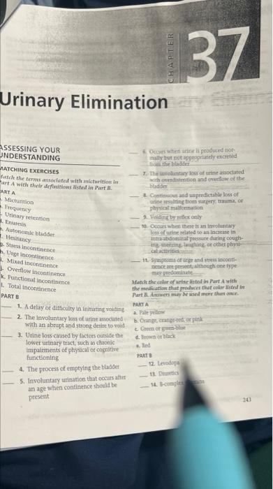 Apter 37 Urinary Elimination Assessing Your Understanding Matching Exercises Atch The Terms Associated With Micro Urt A 1