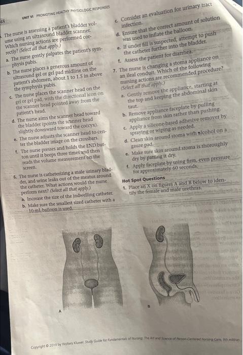 18 Unit Vi Promoting Healthy Physiologi Responses The Nurse Is Assessing A Patient S Bladder Vol Consider An Evaluation 1