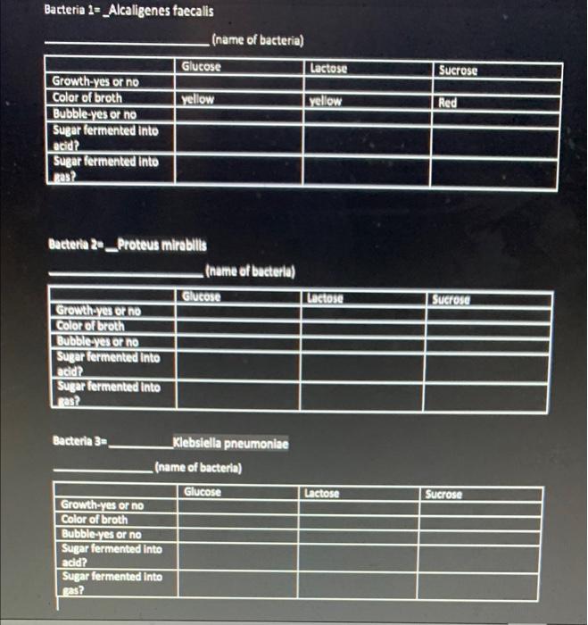 200m Fermentation Phenol Red Test Result For Alcaligenes Faecalis This Bacteria Was Inoculated Into Fermentation Broths 4
