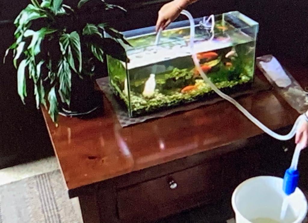 Hw For Sure In Detail Thanks Q1 A Your Nosey Neighbor Is Using A Hose To Drain His Fish Tank The Water Must Be Lift 1