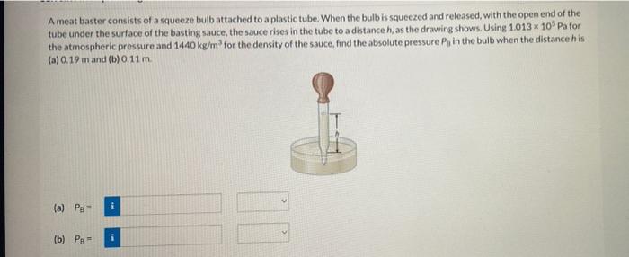 A Meat Baster Consists Of A Squeeze Bulb Attached To A Plastic Tube When The Bulb Is Squeezed And Released With The Op 1