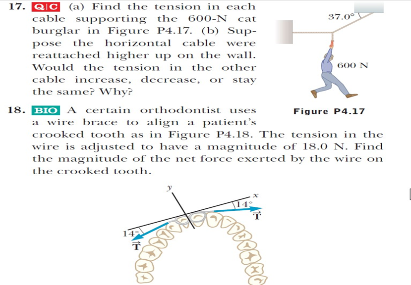 17 Qic A Find The Tension In Each Cable Supporting The 600 N Cat 37 0 Burglar In Figure P4 17 B Sup Pose The Hor 1