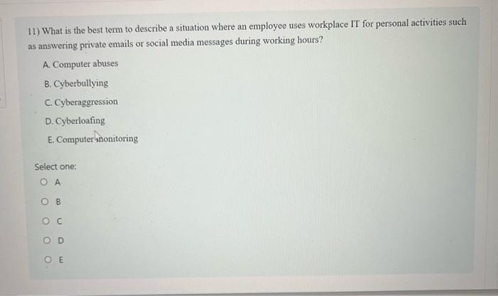 11 What Is The Best Term To Describe A Situation Where An Employee Uses Workplace It For Personal Activities Such As An 1