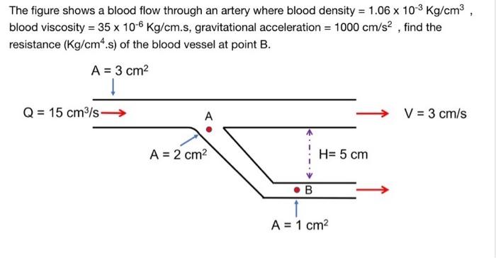 The Figure Shows A Blood Flow Through An Artery Where Blood Density 1 06 X 10 3kg Cm3 Blood Viscosity 35 X 10 6 Kg 1