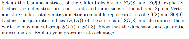 Set Up The Gamma Matrices Of The Clifford Algebra For So 8 And So 9 Explicitly Deduce The Index Structure Constraint 1