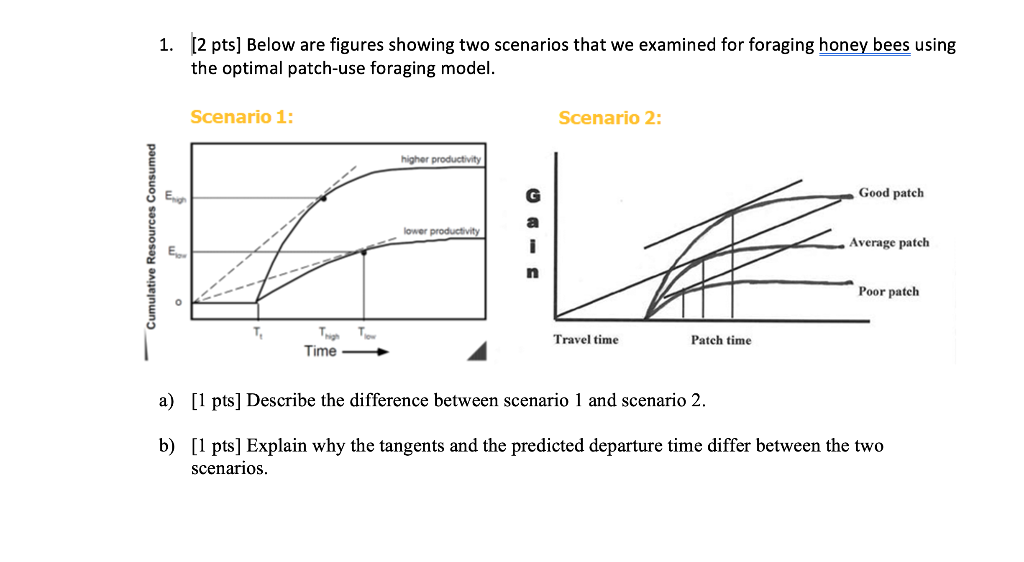 1 2 Pts Below Are Figures Showing Two Scenarios That We Examined For Foraging Honey Bees Using The Optimal Patch Use 1