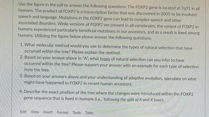Use The Figure In The Pdf To Answer The Following Questions The Foxp2 Gene Is Located At 7q31 In All Humans The Produc 1