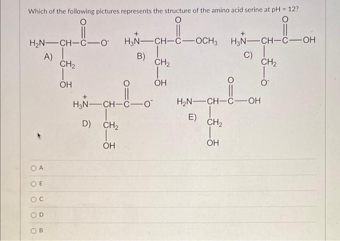 Which Of The Following Pictures Represents The Structure Of The Amino Acid Serine At Ph 12 O O O H2n Ch C 0 A Ch2 1
