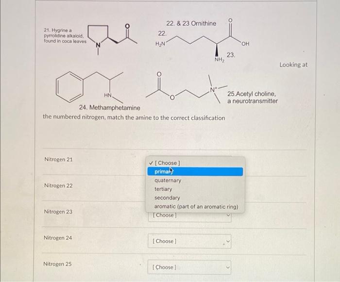 21 Hygrine A Pyrrolidine Alkaloid Found In Coca Leaves Que 22 23 Ornithine 22 Hen 23 Nh2 Oh Looking At Hn 25 Acetyl 1