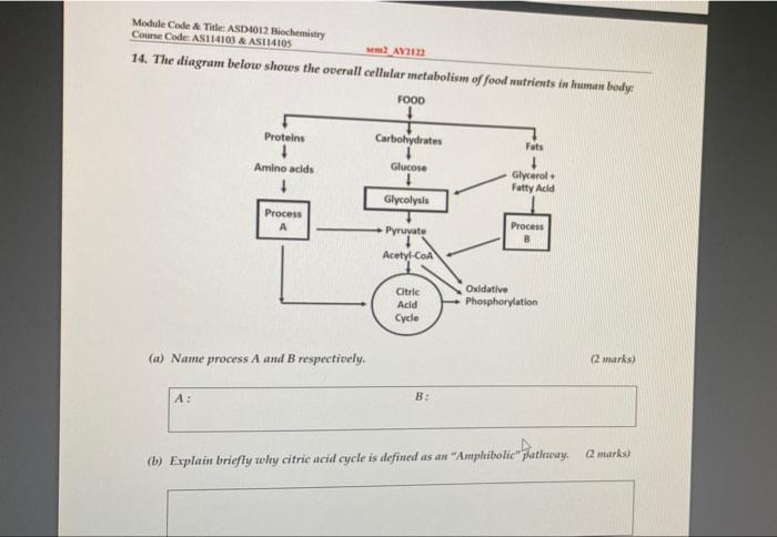 Module Code Title Asd4012 Hiochemistry Course Code As114103 Asi14105 Av12 14 The Diagram Below Shows The Overall C 2